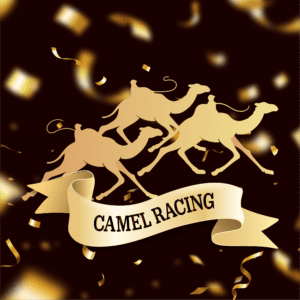 Camel Racing