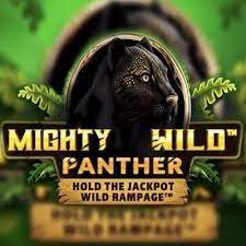 Mighty Wild Panther